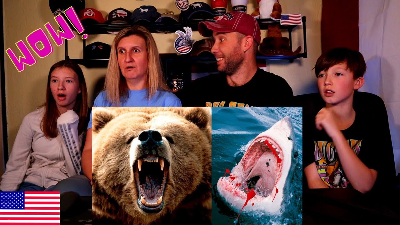 European Family Reacts To Americas Most Dangerous Animals