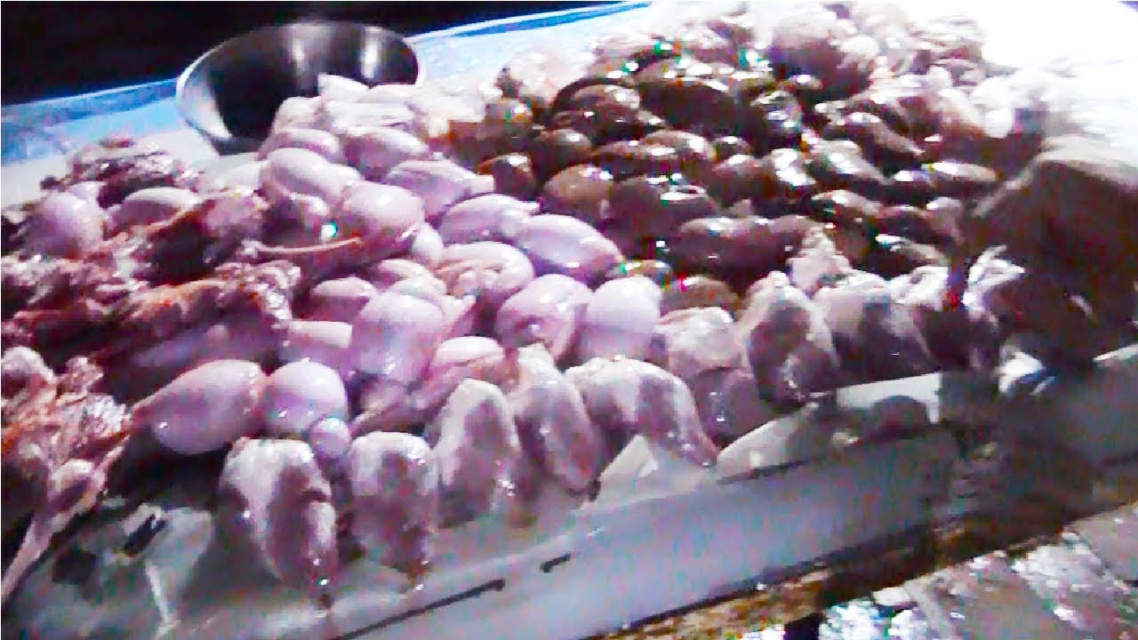 Goat Testicles Balls Kapooray Taka Tak Testicles Recipe Rab Rakha