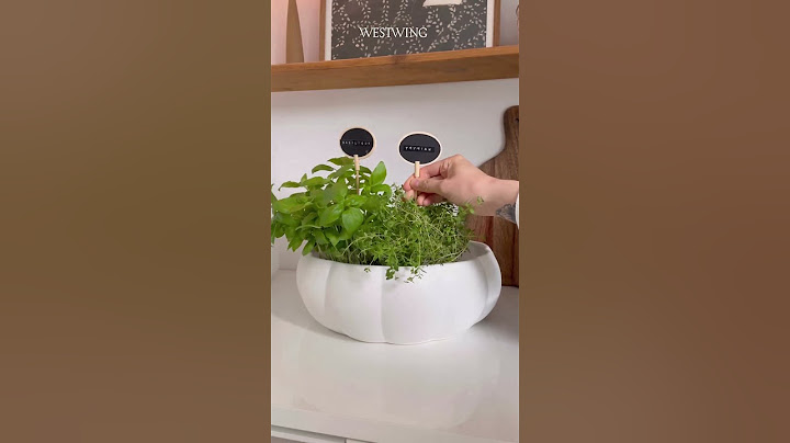 DIY Kräutergarten für Deine Küche 🪴 #pflanzen