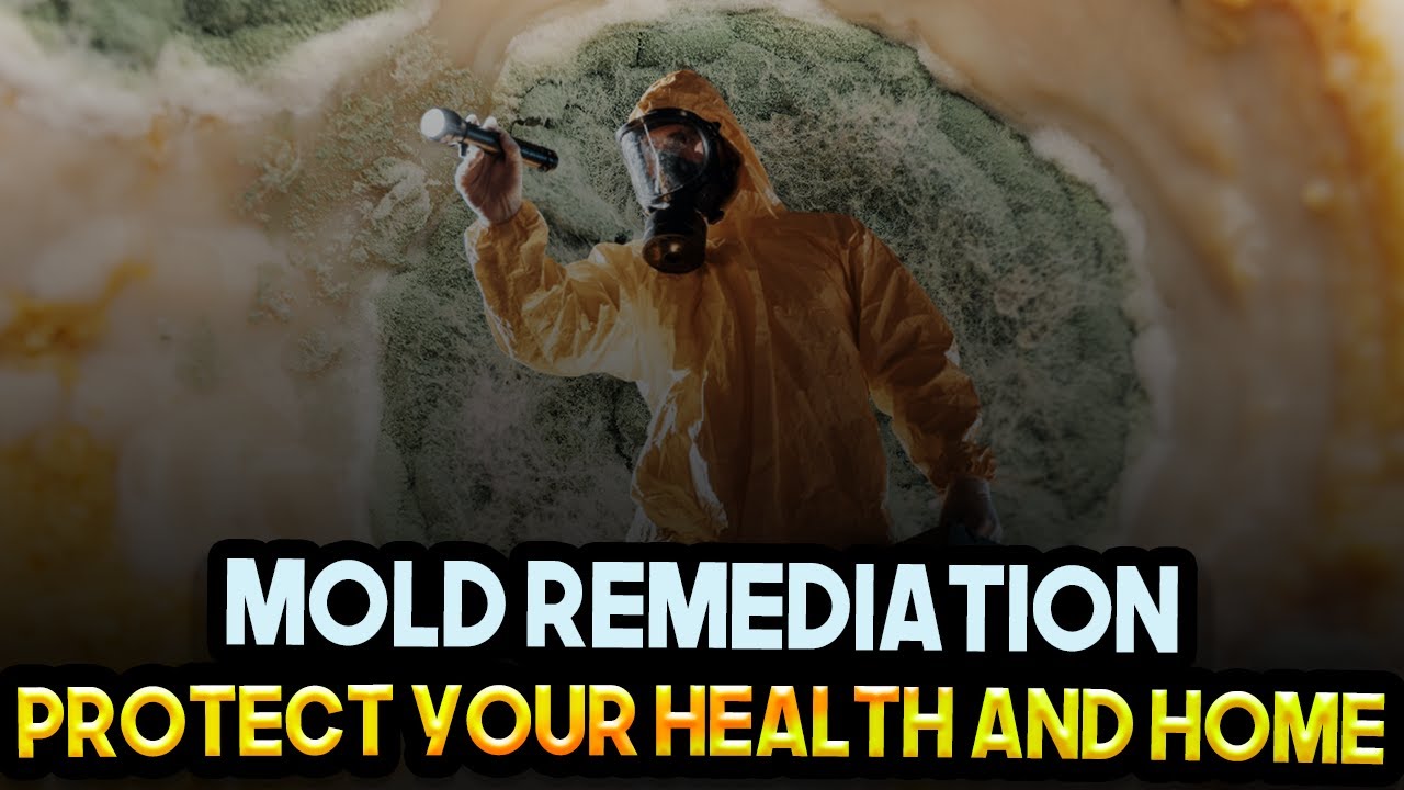 Mold Remediation 101: Protect Your Home and Health Today! | Expert Mold ...