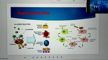Dược lý 1: Thuốc chống dị ứng - Kháng Histamin H1