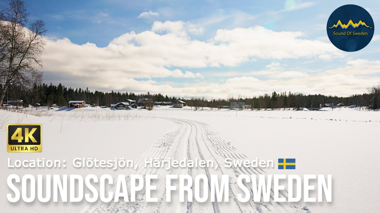 Soundscape from Sweden - Howling Dogs - Location: Glötesjön, Härjedalen