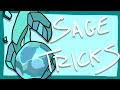 VALORANT: 5 Niche SAGE Tricks in 5 Minutes