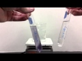 Enzyme and Starch Digestion Quiz