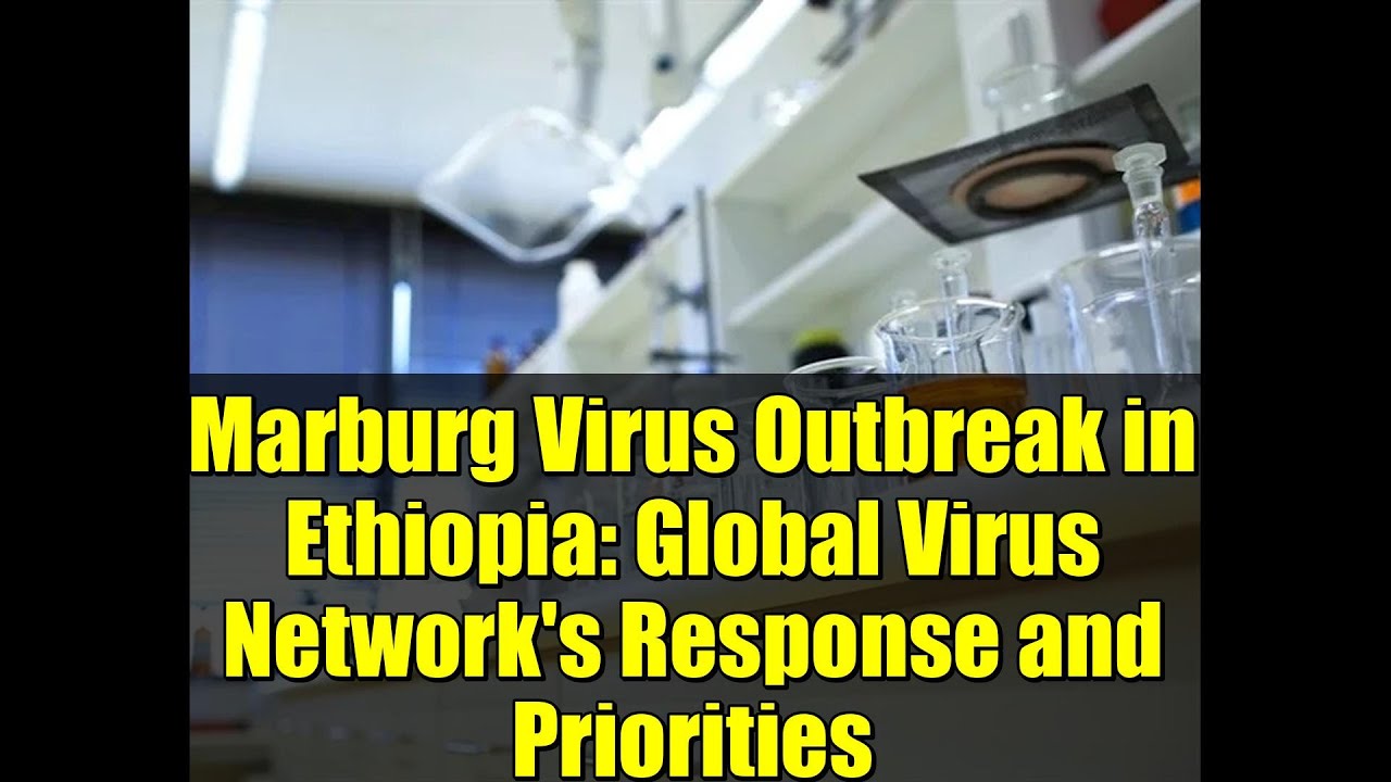 Вспышка вируса Марбург в Эфиопии: ответ и приоритеты Глобальной вирусной сети