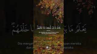 Ayat Kursi (QS. Al Baqarah : 255