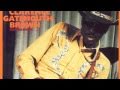 Clarence Gatemouth Brown - 'She Winked An Eye'