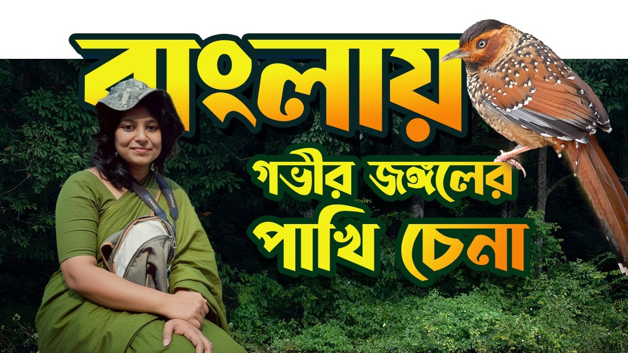 অরণ্যের