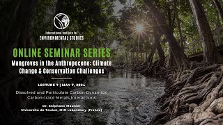 Mangroves in the Anthropocene 2024 | Lecture 7 | Dissolved and Particulate Carbon Dynamics