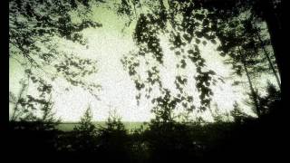 Teemu T - Evening Haze