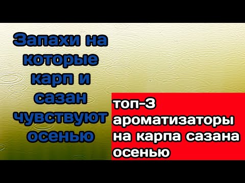 ароматизаторы которые рыба чувствует за километр! Какие запахи привлекают карпа осенью?