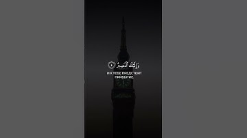 ﴿رَبَّنَا عَلَيْكَ تَوَكَّلْنَا﴾ للقارئ رعد الكردي