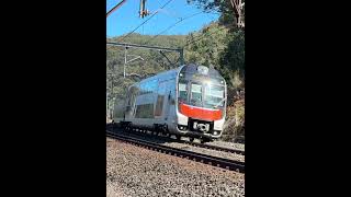 Mariyungs Along Mullet Creek