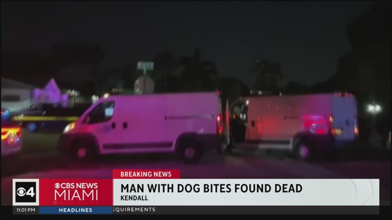 Welfare check yields dead man with multiple dog bites in Kendall - YouTube