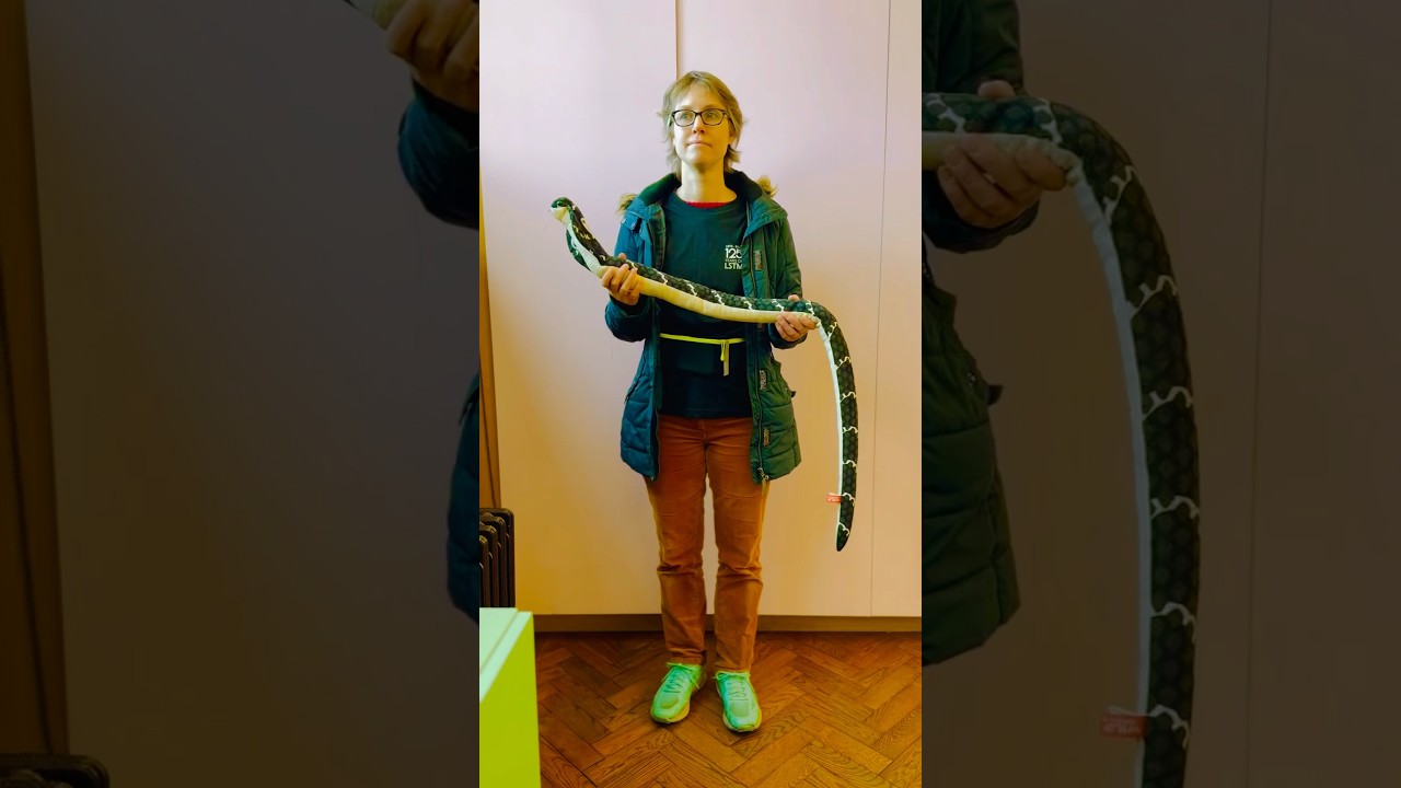 Join us on LSTM's Tropical Medicine Time Machine adventure in Port Sunlight Village! 