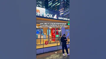 Beautiful Reallife RealLifeStories Of Hachiko The Dog In Japan Shibuya Tokyo Loyalty 