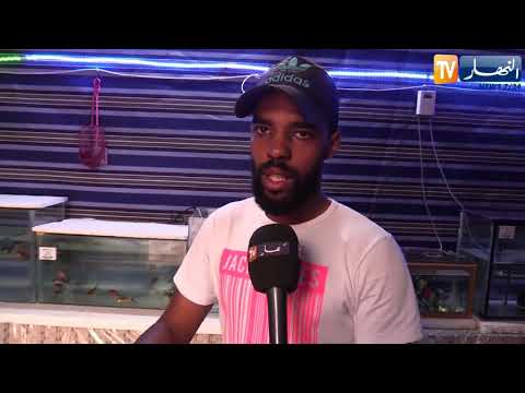 البيض تريبة أسماك الزينة حينما تتحول الهواية لمشروع واعد