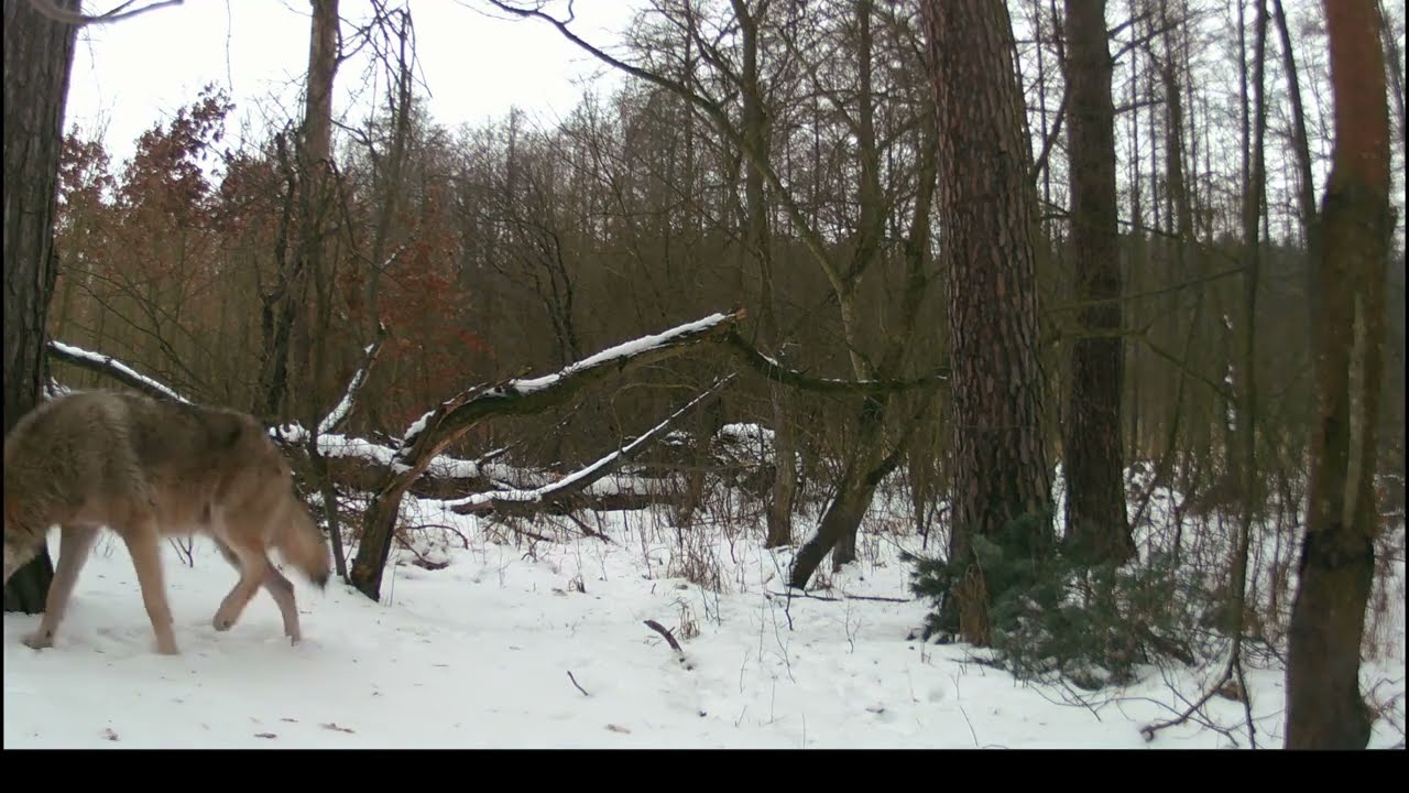 Wszystko zależy od kontekstu  /  Everything Depends on the Context