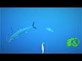 DUO Realis Fangbait 140 SW VS HART DEEP-K incredible underwater footage