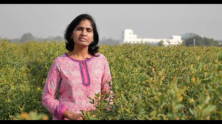 ICRISAT's work in Asia (by Dr Janila Pasupuleti, I...