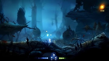 Ori and the Will of the Wisps bug report.