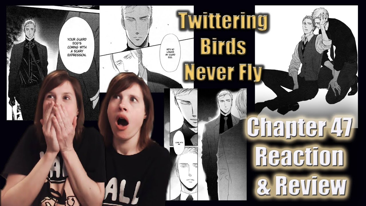 Twittering Birds Never Fly: Chapter 47 Reaction & Review! - YouTube