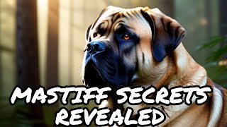 Unveiling the Ultimate Mastiff Magic: Your Guide to the Dog Breed