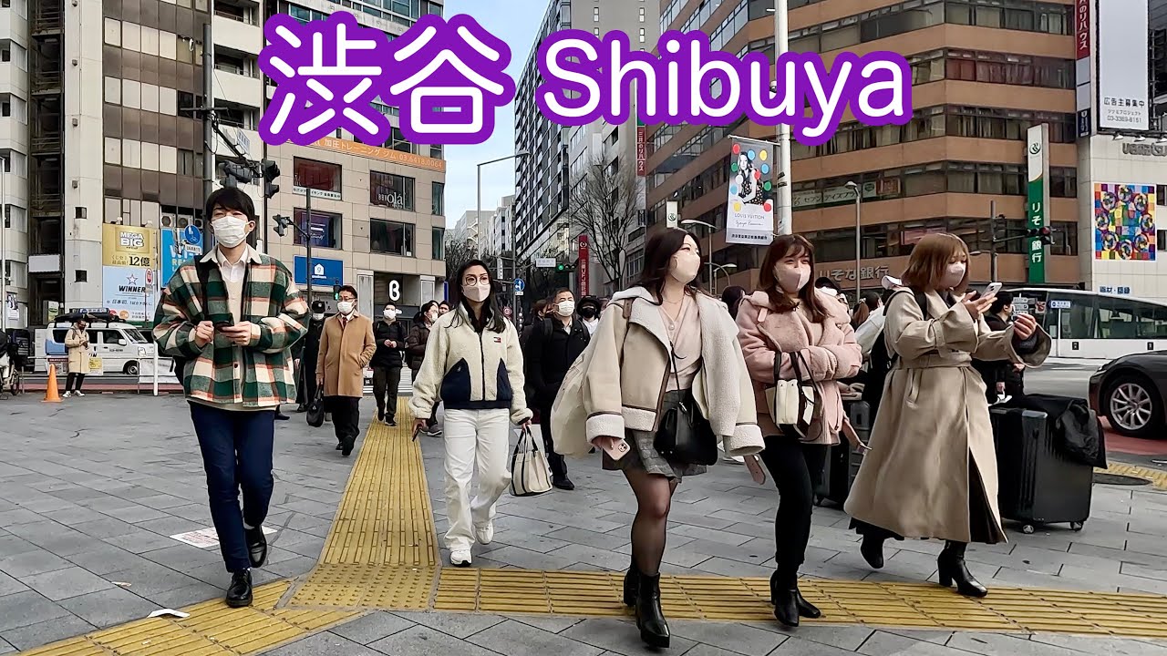 ジャック渋谷校　青山学院　くすのきコース　1年分 ジャック渋谷校 青山学院 くすのきコース 1年分 渋谷教室 | 教室