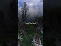 وقوف يحبس الأنفاس أمام لظى اليقين يا ليتنا نعود ندم يفيض صدقا ياسر الدوسري
