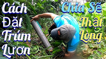 #370. Bí Quyết Cuối Cùng Cách Đặt Trúm Và Làm Mồi. The Ultimate Secret How To Set Up Snatch And Bait