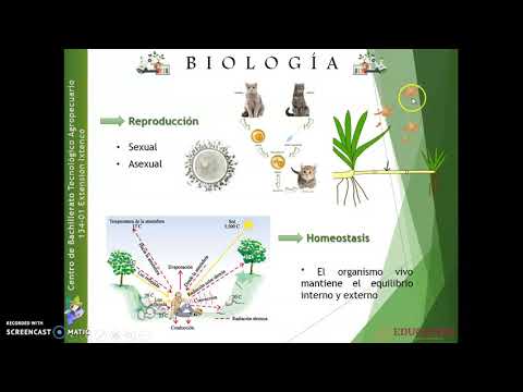 Video: ¿Cuáles son los temas unificadores de la biología?