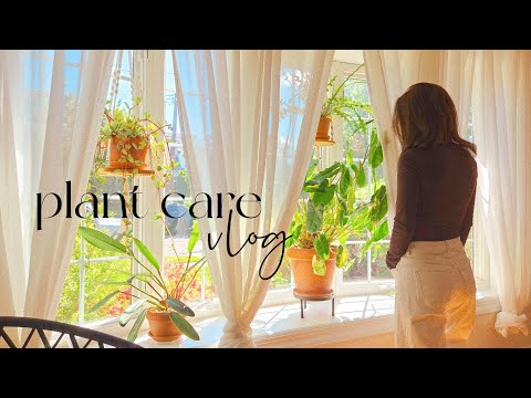 Calm & Relaxing Spring Plant Care Vlog