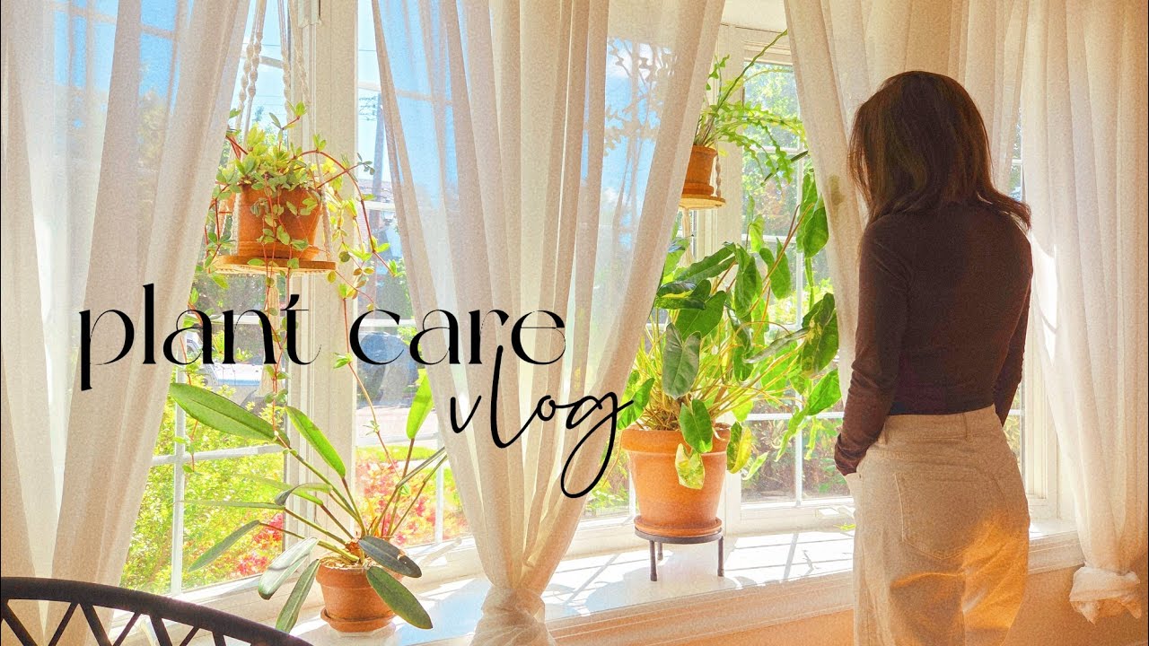 Calm & Relaxing Spring Plant Care Vlog