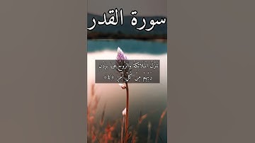 سورة القدر بصوت هزاع البلوشي#القرآن_الكريم_منوعات_منوعات