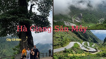 Việt Nam | Săn Mây Ở Hà Giang | Cây Cô Đơn | Dốc Thẩm Mã