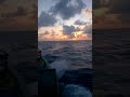 pesca em alto-mar, Pontas de Pedras vídeo 2