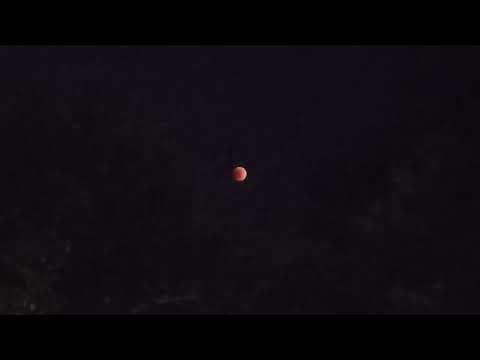The Blood Moon!!