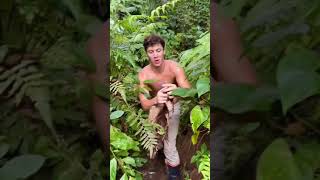 kita coba bagaimana rasanya digigit tokek #shorts #tokek #gecko