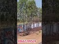 🏡 Temple City Grand – Premium Open Plots with Wide Roads & Green Surroundings