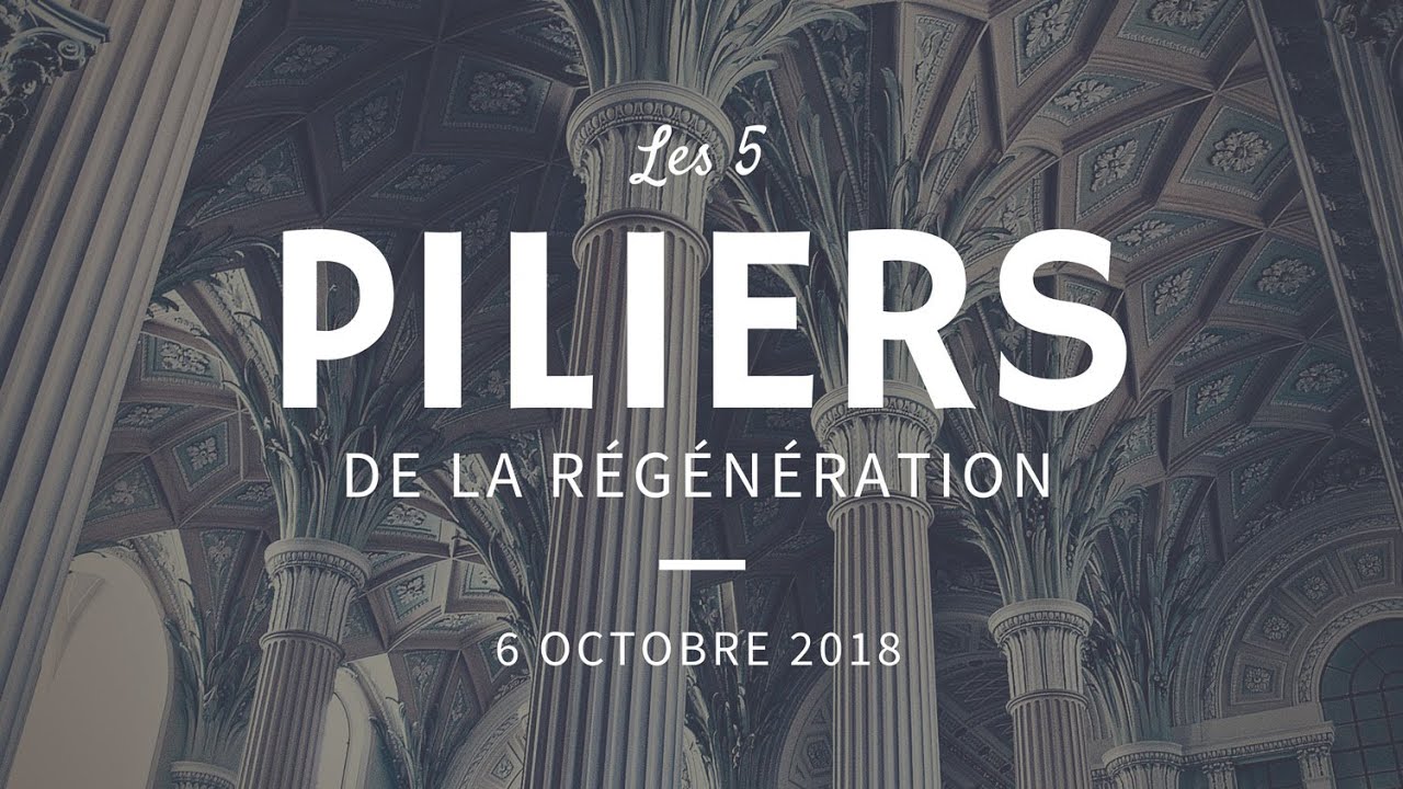 principe deveste eight L'homéostasie et les 5 piliers de la régénération