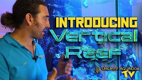 Introducing: Vertical Reef