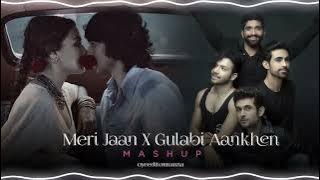 Meri Jaan X Gulabi Aankhen Mashup [ Slowed Reverb ] 🎧