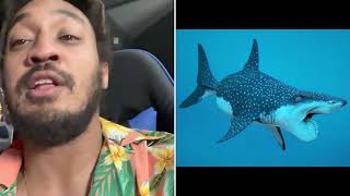 This Made-Up Looking Shark Actually Existed