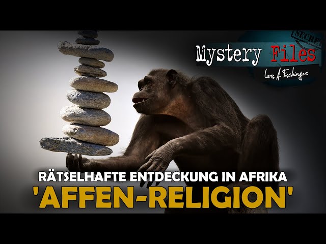 Forscher rätseln über "Kultstätten" von Affen: Haben Affen in Afrika eine Proto-Religion entwickelt?