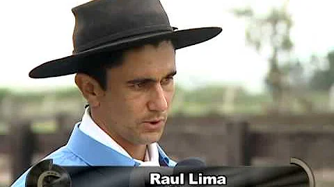 Como fazer para o cavalo parar?