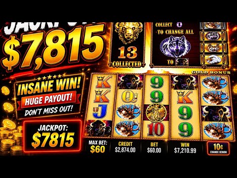 Jak Działają Jackpoty w Mad Casino: Różnice Między Typami