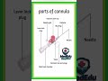 IV Cannula Parts Explained Cannula Ke Parts in Hindi Nursing & Medical Students | MedEdu Simplified