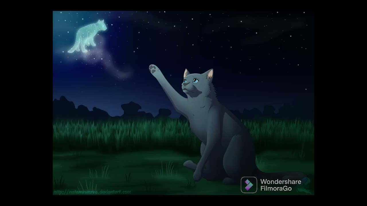 OakHeart BlueFur/Star -  Rewrite the Stars