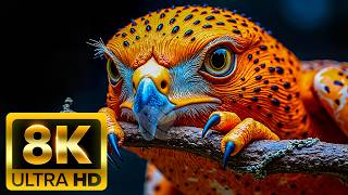 🐾 편안한 동물 세계 8K 울트라 HD (60FPS) – 고요한 야생 여행 screenshot 5