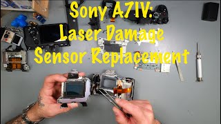 Sony A7IV: Laser Damage Sensor Replacement Net Worth